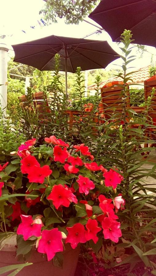 Motel Stone Gardens Doli Екстериор снимка